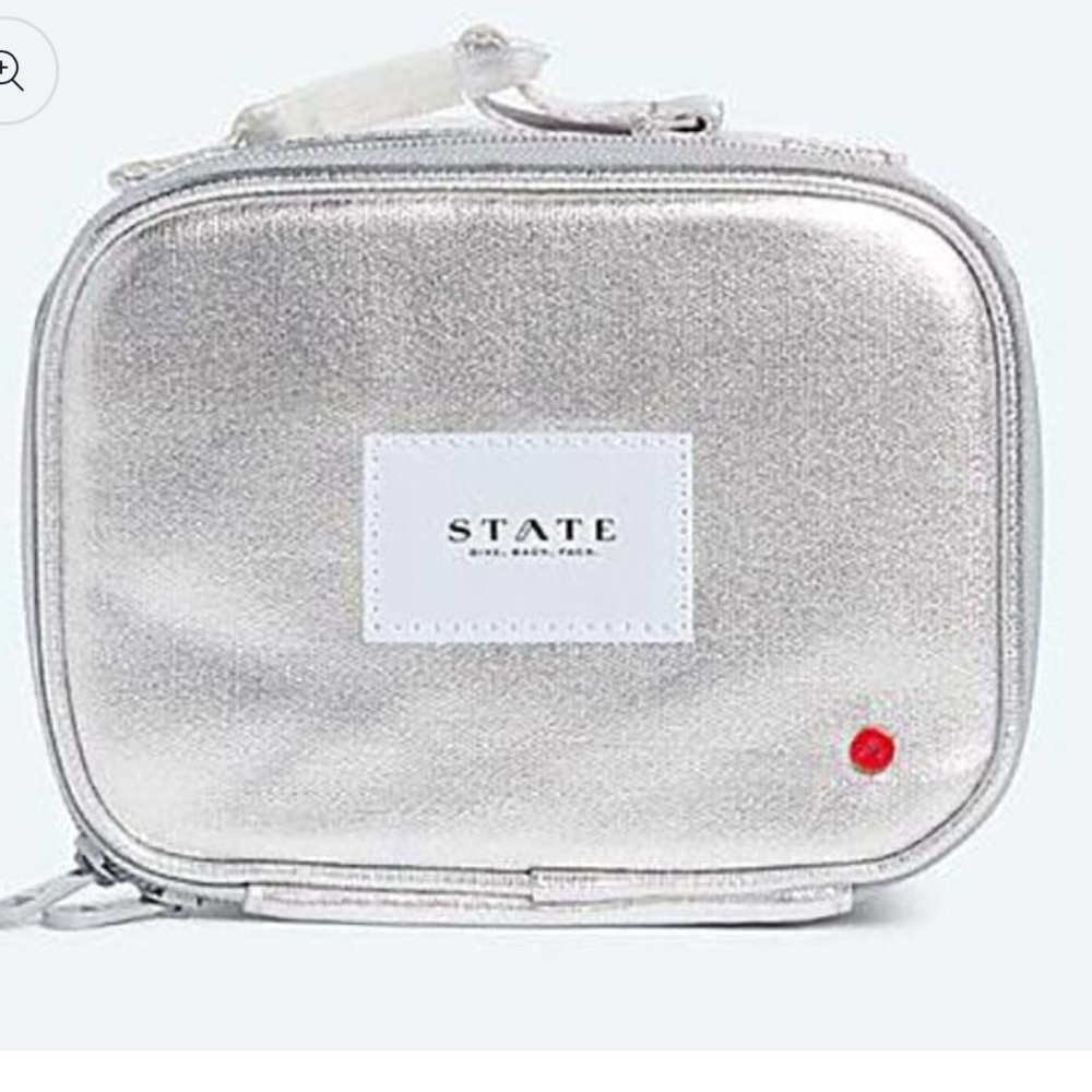 STATE Shimmering Silver Case